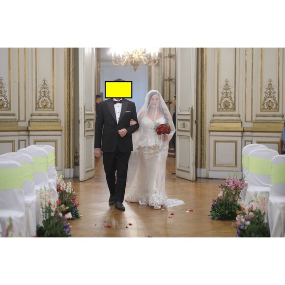 Wedding Dress Size 14 Ivory and Pink Embroidered Details Oleg Cassini - Picture 13 of 16